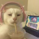 55 Brighton at Packard Crossing 转租&房东直租