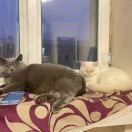 小周小周 能睡一周的头像-风行者社区