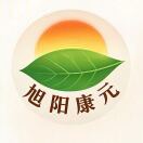 旭阳康元
