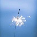 蓝陨淘沙的头像-熵减岛