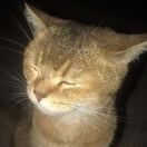 tired