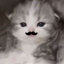 344
