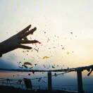 饼干ღ会发芽🔆的头像-熵减岛