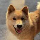 xaominfanbmd的头像-汇聚千年易学精髓，尽在知蛛玄机