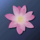 Ifor Evans Hall转租