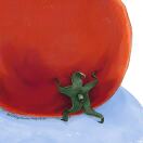 Minerva Square - Glasgow转租&房东直租