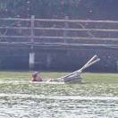 两行文案📝上青天🌍的头像-中医教程博客