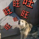 baby204830