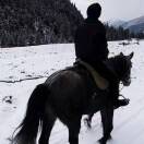 rush的头像-知创网