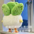 张瑞阳
