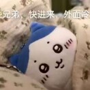 卫笃士的头像-VAM®克苏恩资源社区