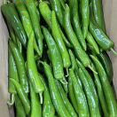 啊龙农业蔬果18894712529