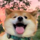 Profile picture of nanana