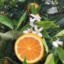 大蚂蚁市场部袁华兴