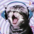 JSQ2转租&房东直租