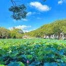 xx28-WordPress主题模板-zibll子比主题官方演示