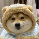 。。