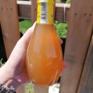 四季果蔬供应链