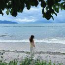 芝加哥(伊利诺伊州)求租