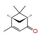 科学的故事