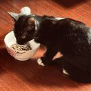 小卡拉米米 的头像