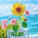 海纳百川
