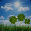 [胜利][胜利]的头像-博士钣金 - www.bsbanjin.com