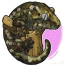 呼呼huhu的头像-ACG Fun资源站