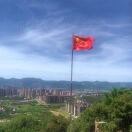 陈淑华