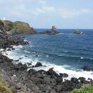 领风七七的头像-熵减岛