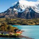 仙野食养的头像 