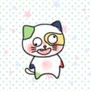 宝贝猫猫回家