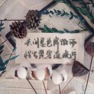 海棠微雨共归途