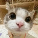 user_e7v1qmvigf66yrny23877 member profile picture