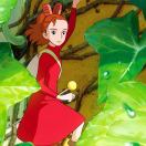 🍄晴走晴看（深圳嘉苹建材）