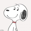 姜文强 18035327578的头像-村少博客