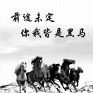 一杯敬自由的头像-宋播播带货工作室