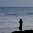 琴儿的头像-前行者团队