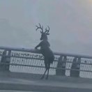 用户20903795的头像-音创社AI SonoCraft丨科技改变未来