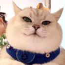 😶L即将拥有人鱼线