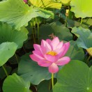 为你而来的头像-熵减岛