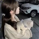 用户51506062的头像-拟人圈