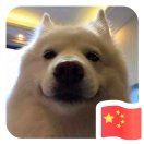 小徐同学