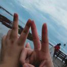 陈官正的头像-WordPress主题模板-zibll子比主题