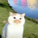 True Glasgow转租&房东直租