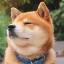 此号不通的头像-博士钣金 - www.bsbanjin.com