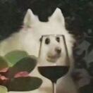 小銘同事
