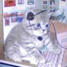 用户43693787的头像-梦马考研