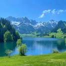 可可的头像-澳门国际