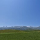 Ayeedo的头像-风行者社区